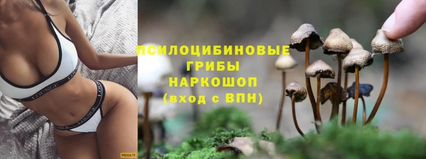 mix Корсаков