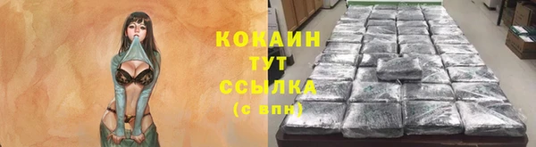 СК Коряжма