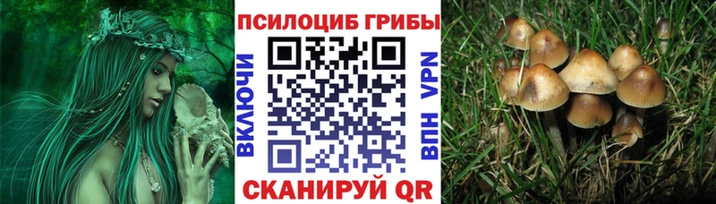Галлюциногенные грибы ЛСД  Купить где  Калининск 